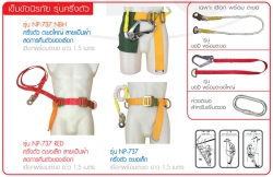 ข้อมูล-เข็มขัดนิรภัย-รุ่นครึ่งตัว.jpg