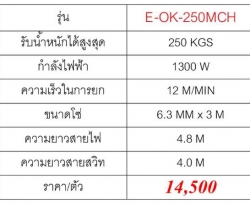 สเปค-0_25-ตัน.jpg