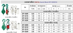 ข้อมูลรอกตาเดียว-ร่องเดี่ยว-ร่องคู่.jpg