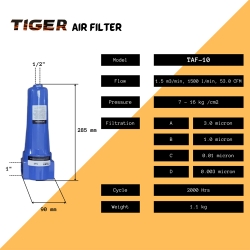 TAF-10.jpg