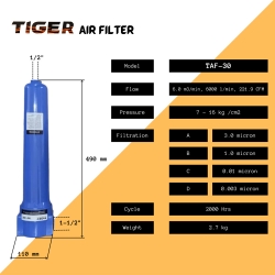 TAF-30.jpg