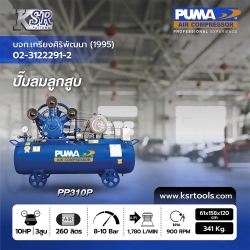 PP310P.jpg